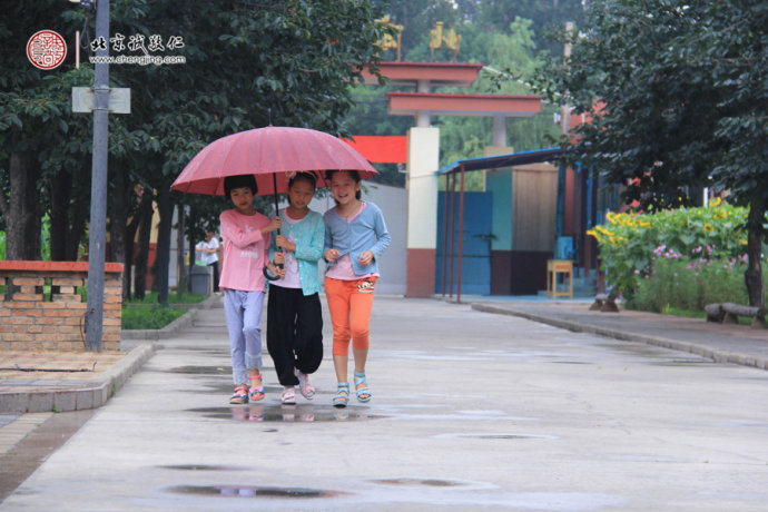 风雨三人行