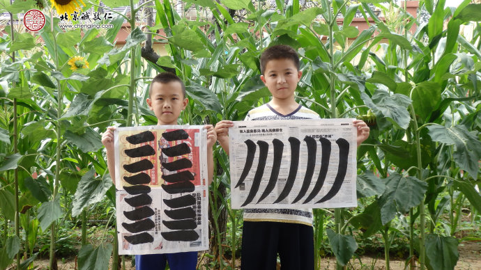 书法一班学员永字八法习作展示