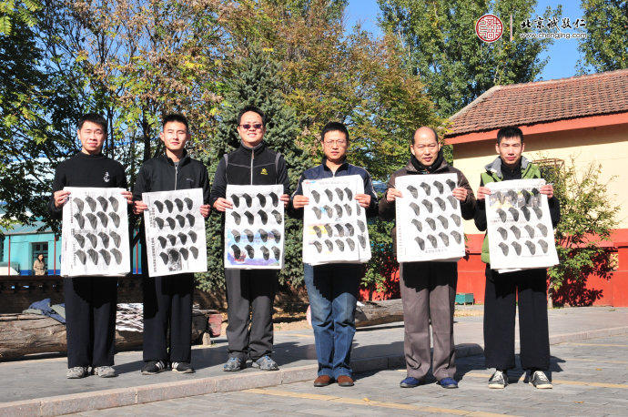 师资班男学员展示“永字八法”基本功：方头点