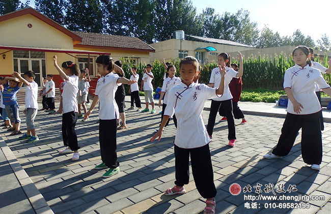 千姿百态的云手，小学员认真学习的态度。