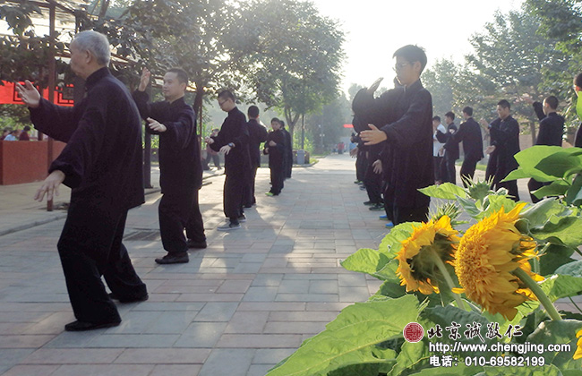 花前树下 太极晨练