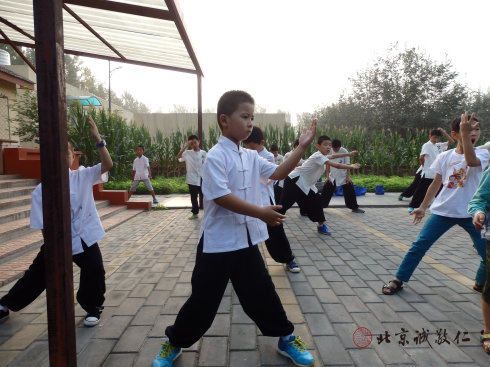 
小学员晨练太极拳

