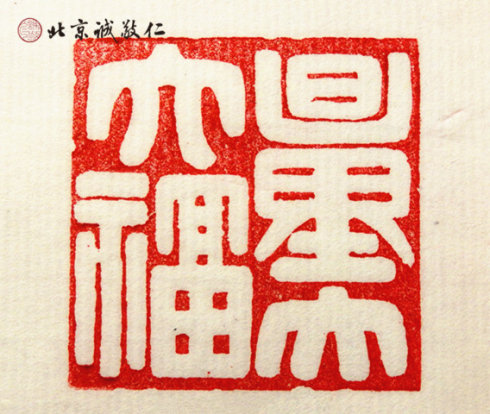 
小学员晨练太极拳
