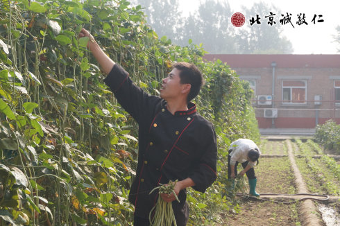 厨房的老师为学员们采摘小院的有机蔬菜