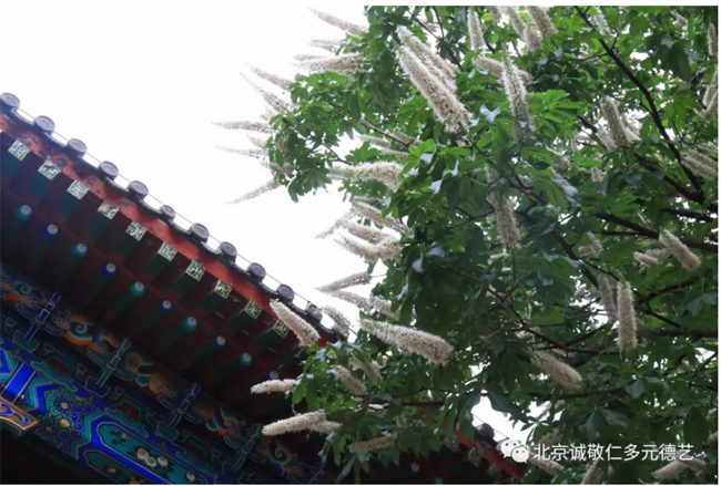 房山石经探访游学