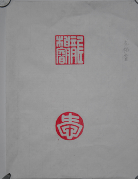 第五天学习「短横」