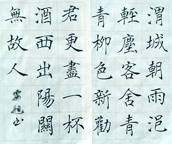 软笔书法展